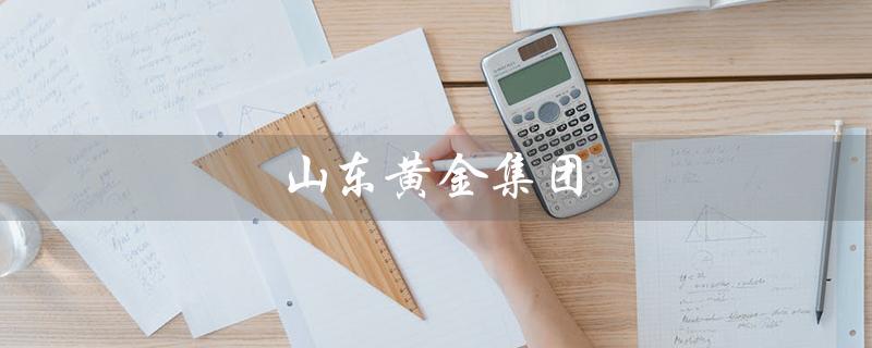山东黄金集团（山东黄金集团董事长是谁）