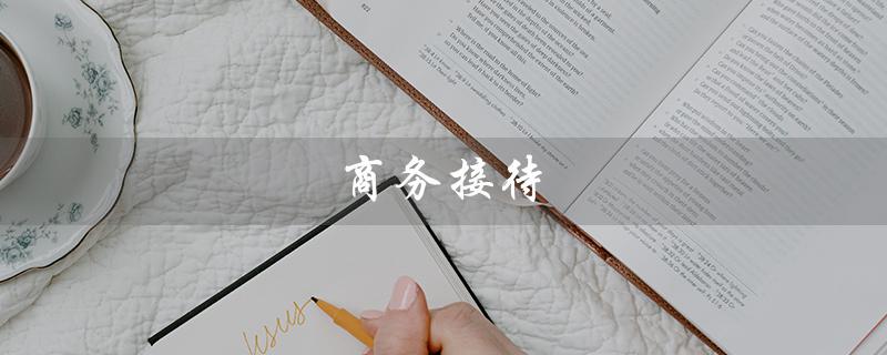 商务接待（商务接待用车是什么）