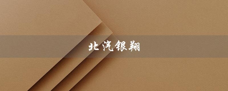 北汽银翔（北汽银翔幻速S3价格）