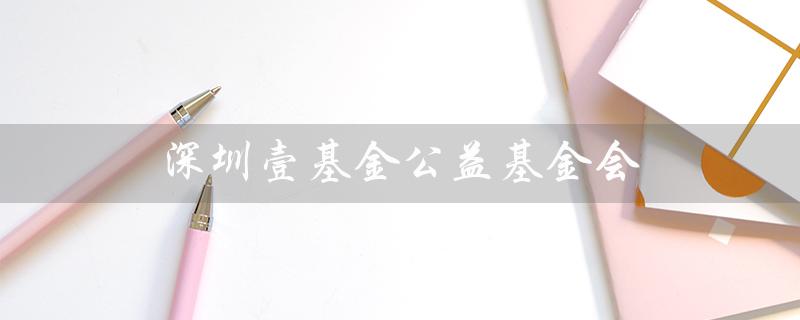 深圳壹基金公益基金会(深圳壹基金公益基金会好吗)