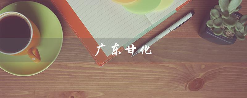 广东甘化(广东甘化科工是什么公司)