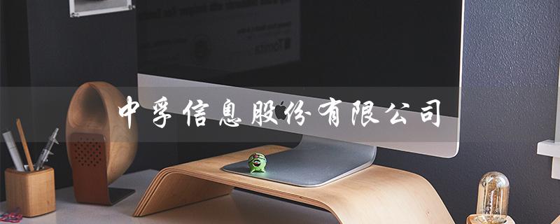 中孚信息股份有限公司（中孚信息是国企吗）