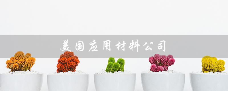 美国应用材料公司（美国应用材料公司是否入选世界500强）