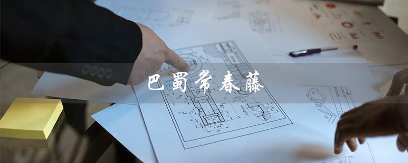 巴蜀常春藤（巴蜀常春藤学校学费是多少）