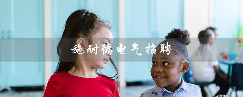 施耐德电气招聘（施耐德电气招聘条件是什么）