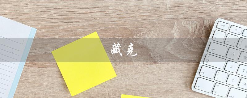 藏克（有的人的作者是谁）