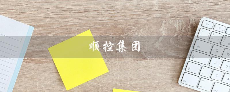 顺控集团（顺控集团董事长是谁）