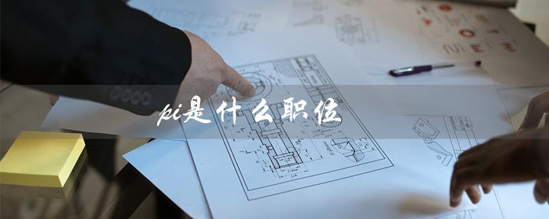 pi是什么职位(公司pi职位是什么)