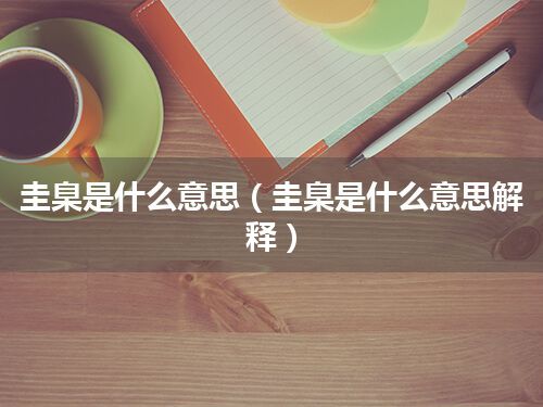 圭臬是什么意思(圭臬是什么意思解释)