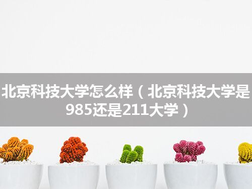 北京科技大学怎么样(北京科技大学是985还是211大学)