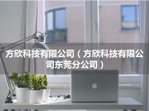 方欣科技有限公司(方欣科技有限公司东莞分公司)