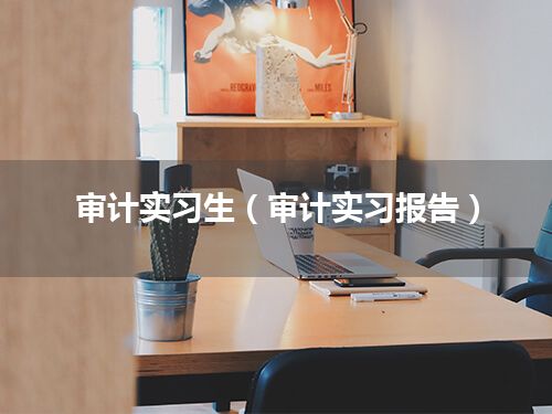 审计实习生(审计实习报告)